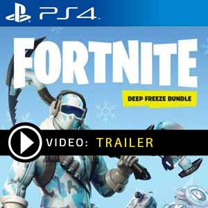 Fortnite Deep Freeze Bundle PS4 en boîte ou à télécharger