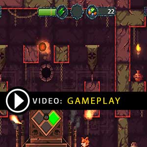 Furwind Nintendo Switch Gameplay Video