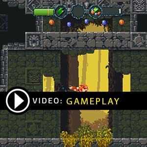 Furwind Gameplay Video