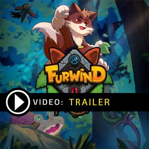 Acheter Furwind Clé CD Comparateur Prix