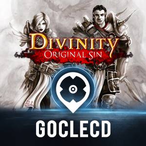 Divinity: Original Sin II (Jeu vidéo 2017