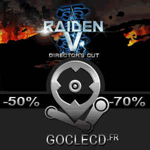Raiden 5 Director's Cut Pc