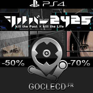 Silver 2425 Playstation 4