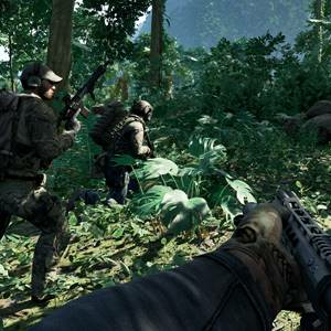 Gray Zone Warfare - Forêt