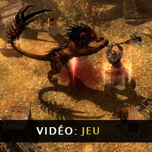 Grim Dawn Vidéo de Gameplay