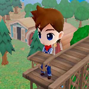 Harvest Moon The Lost Valley Nintendo 3DS Pont