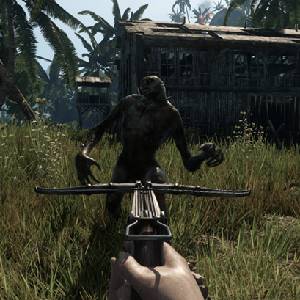 Heathen The Sons of the Law - Arbalète