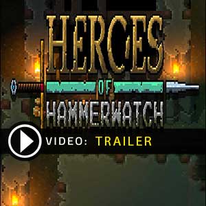 Acheter Heroes of Hammerwatch Clé CD Comparateur Prix