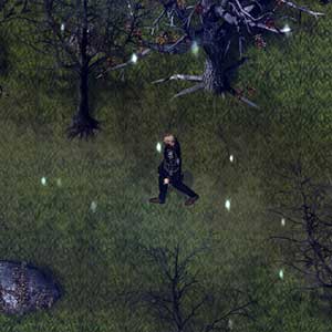 Le commandant jerus rentre chez lui