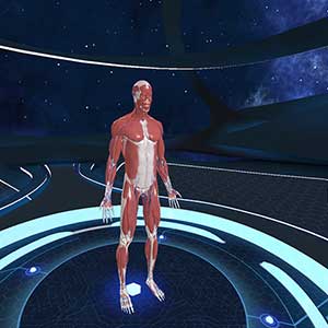 Acheter Human Anatomy VR PS4 Comparateur Prix