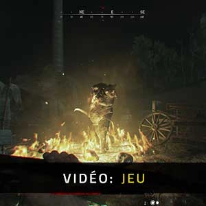 Hunt Showdown Jeu