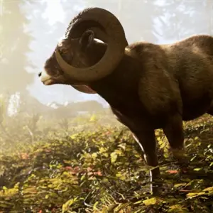 Hunting Simulator 3 - Mouflon d'Amérique