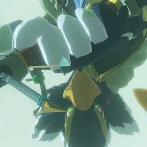 Hyrule Warriors Age of Calamity Lien