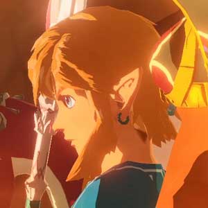 Hyrule Warriors Age of Calamity Champions