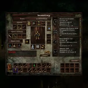 Icewind Dale: Enhanced Edition – Inventaire