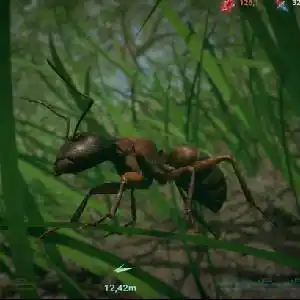 Insect Worlds - Fourmi