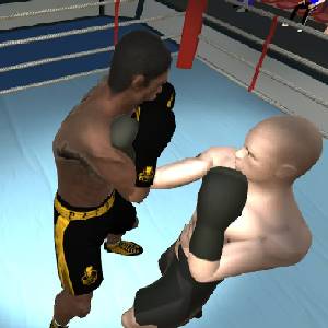 International Boxing - Blocage