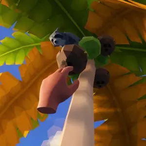 Isle of Food VR - Noix de Coco
