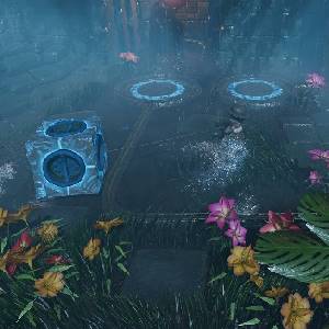 Joe Wander and the Enigmatic Adventures - Jardin Ancien