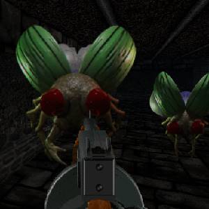 Killing Time Resurrected - Insectes