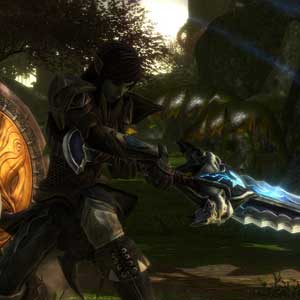 Kingdoms of Amalur Re-Reckoning la Brute de Bolgan