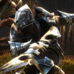 Kingdoms of Amalur Re-Reckoning le guerrier Jottun