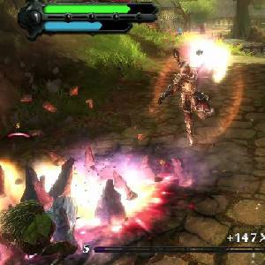 Kingdoms of Amalur Reckoning - Plus 147 XP