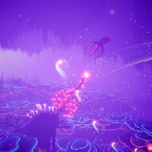 Koral - Océan Courant