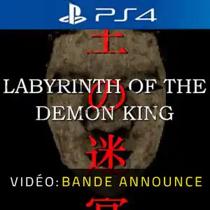Labyrinth Of The Demon King PS4 - Bande-annonce Vidéo