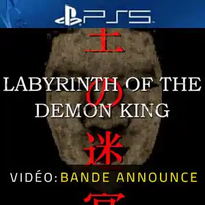 Labyrinth Of The Demon King PS5 - Bande-annonce Vidéo