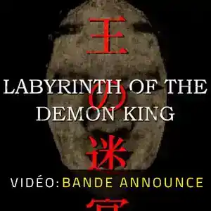 Labyrinth Of The Demon King - Bande-annonce Vidéo