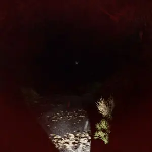 Light - Die to Survive - Chemin