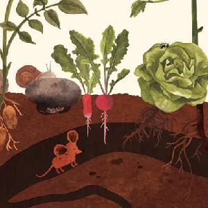 Little Mouse's Encyclopedia - Souterrain