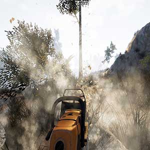 arbres physiquement simulés