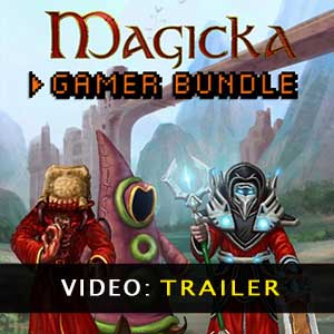 Magicka Gamer Bundle