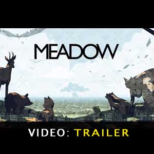 Acheter Meadow Clé Cd Comparateur Prix