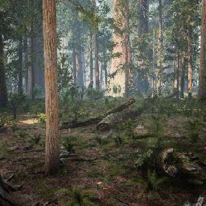 Medieval Apocalypse - Bois