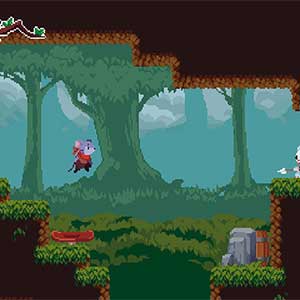 Micetopia - Plaisir de la Plateforme