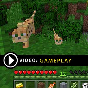 Minecraft for windows 10 Gameplay Video