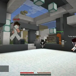 Minecraft Java & Bedrock Edition - Joueurs