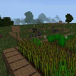 l'herbe se balancent dans la brise