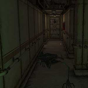 l'intérieur du navire change de forme