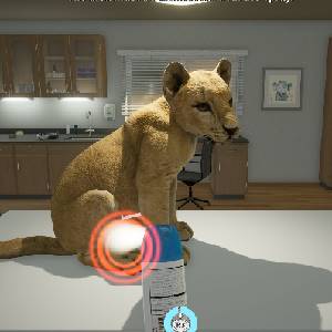 My Life: Zoo Vet - Lionceau