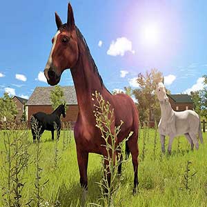different horses