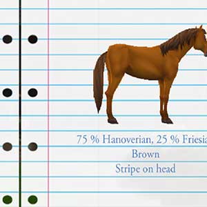 Résultat de l'éleveur