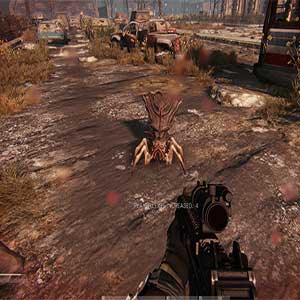 haunted by creatures