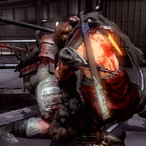 NINJA GAIDEN Master Collection - Technique