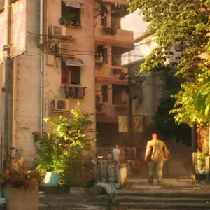 NO LAW - Bâtiments à plusieurs étages