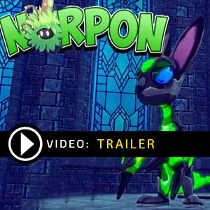 Acheter Norpon Clé CD Comparateur Prix