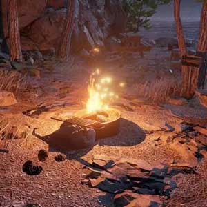 Se détendre sur le feu de camp